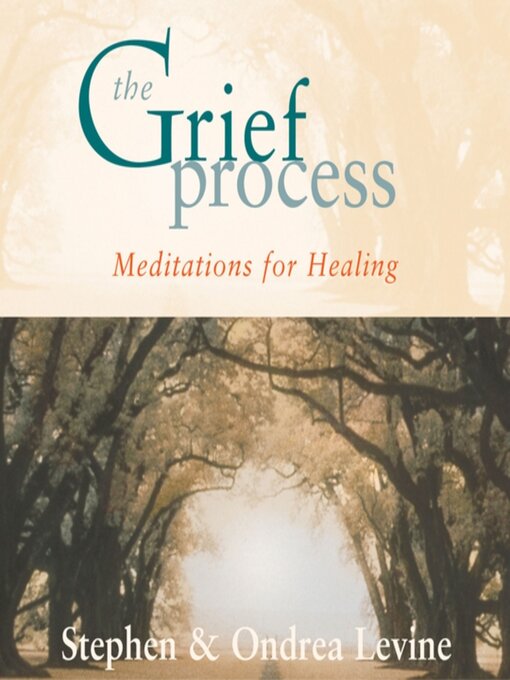 Cover image for The Grief Process